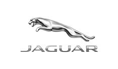 Jaguar Jaguar